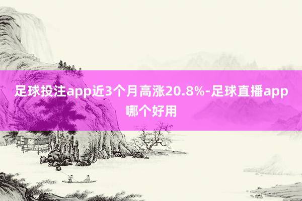 足球投注app近3个月高涨20.8%-足球直播app哪个好用