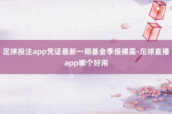 足球投注app凭证最新一期基金季报裸露-足球直播app哪个好用