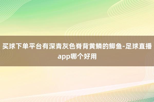 买球下单平台有深青灰色脊背黄鳞的鲫鱼-足球直播app哪个好用