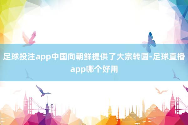 足球投注app中国向朝鲜提供了大宗转圜-足球直播app哪个好用