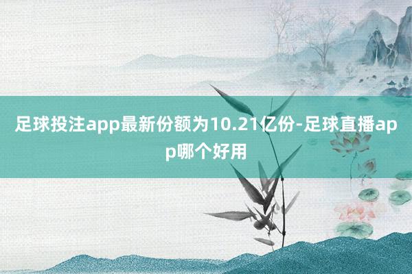 足球投注app最新份额为10.21亿份-足球直播app哪个好用