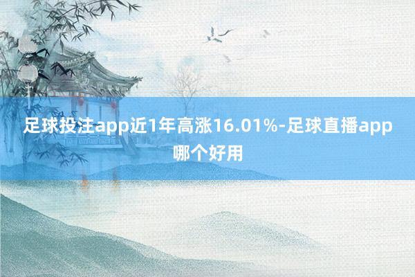 足球投注app近1年高涨16.01%-足球直播app哪个好用